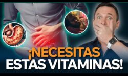 Los 5 mejores suplementos para cuidar tu salud digestiva